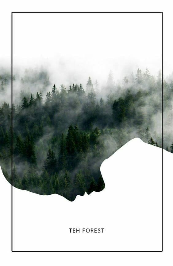 Poster med en dimmig skog och texten "Teh Forest". Länk till Pinterest.